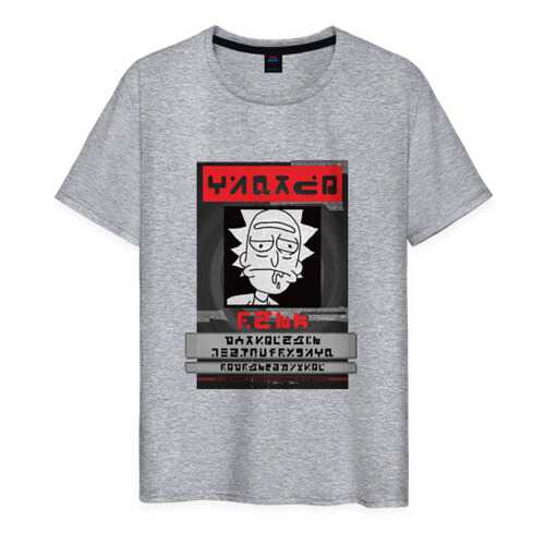 Футболка мужская ВсеМайки 1858369 серая XXL в Savage